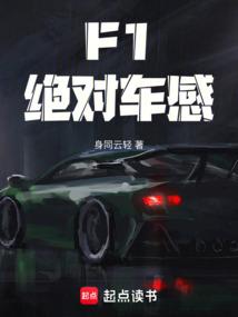 F1：绝对车感