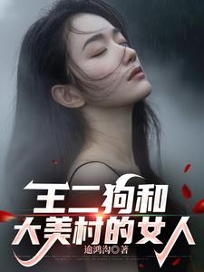 王二狗和大美村的女人